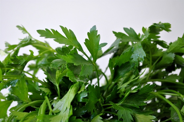 image via Flickr CC by cookbookman17; Fresh Parsley -- A bunch of fresh hand picked parsley. This parsley is bursting with flavor and ready for use.